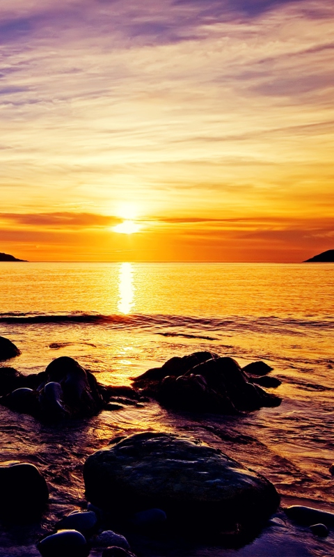 Golden Sunrise Beach screenshot #1 480x800