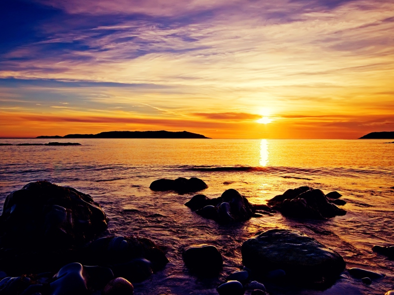 Golden Sunrise Beach wallpaper 800x600