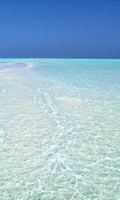 Crystal Blue Ocean screenshot #1 240x400