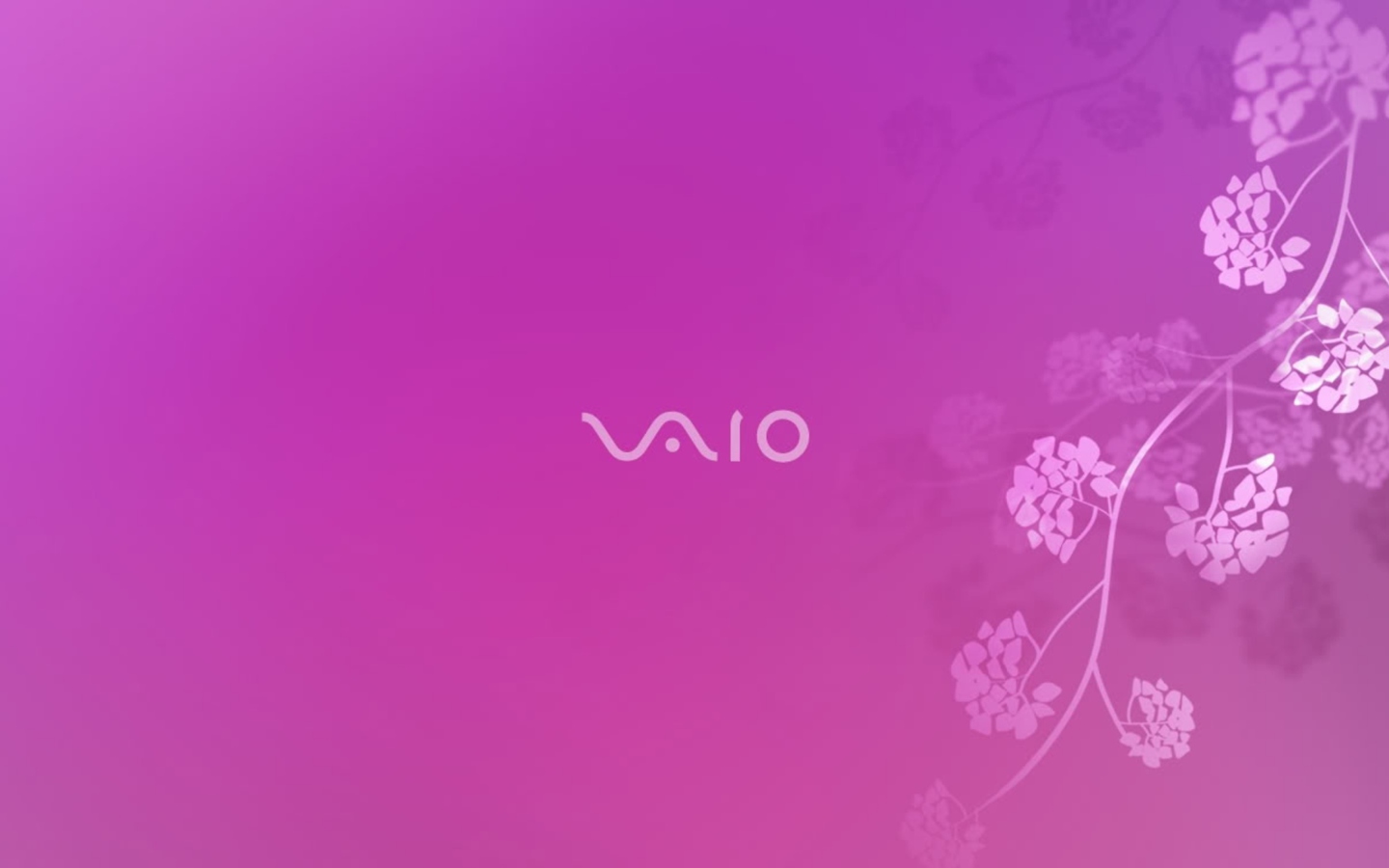 Sony VAIO Laptop screenshot #1 1440x900