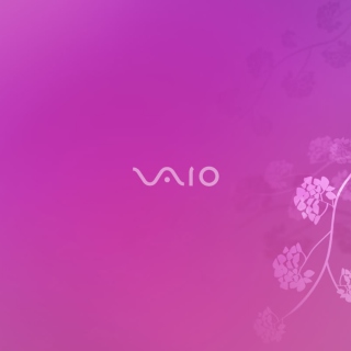 Free Sony VAIO Laptop Picture for iPad mini