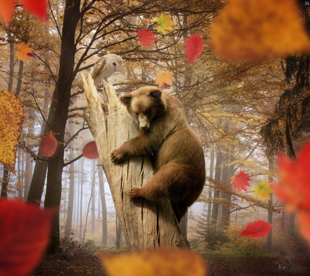 Das Bear In Autumn Forest Wallpaper 1080x960