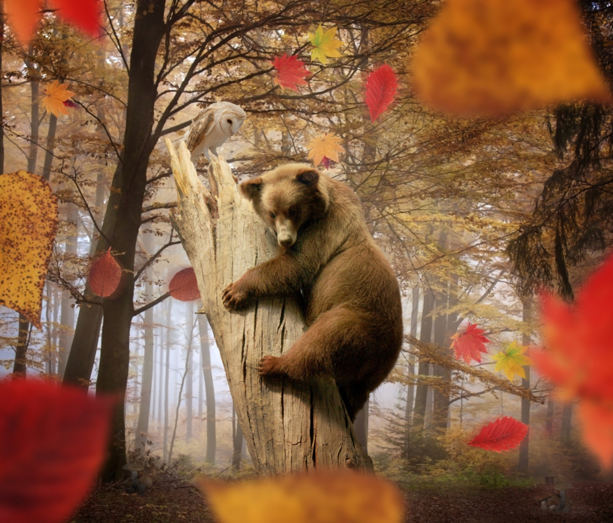 Sfondi Bear In Autumn Forest 1200x1024