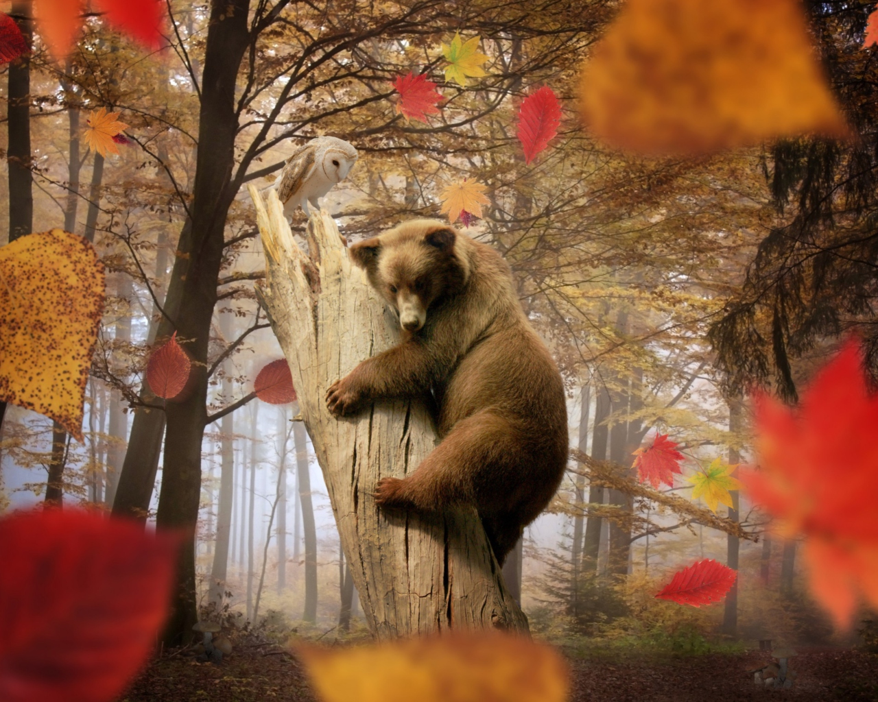 Das Bear In Autumn Forest Wallpaper 1280x1024