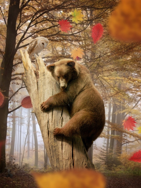 Das Bear In Autumn Forest Wallpaper 480x640