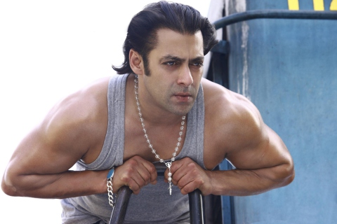 Salman Khan screenshot #1 480x320
