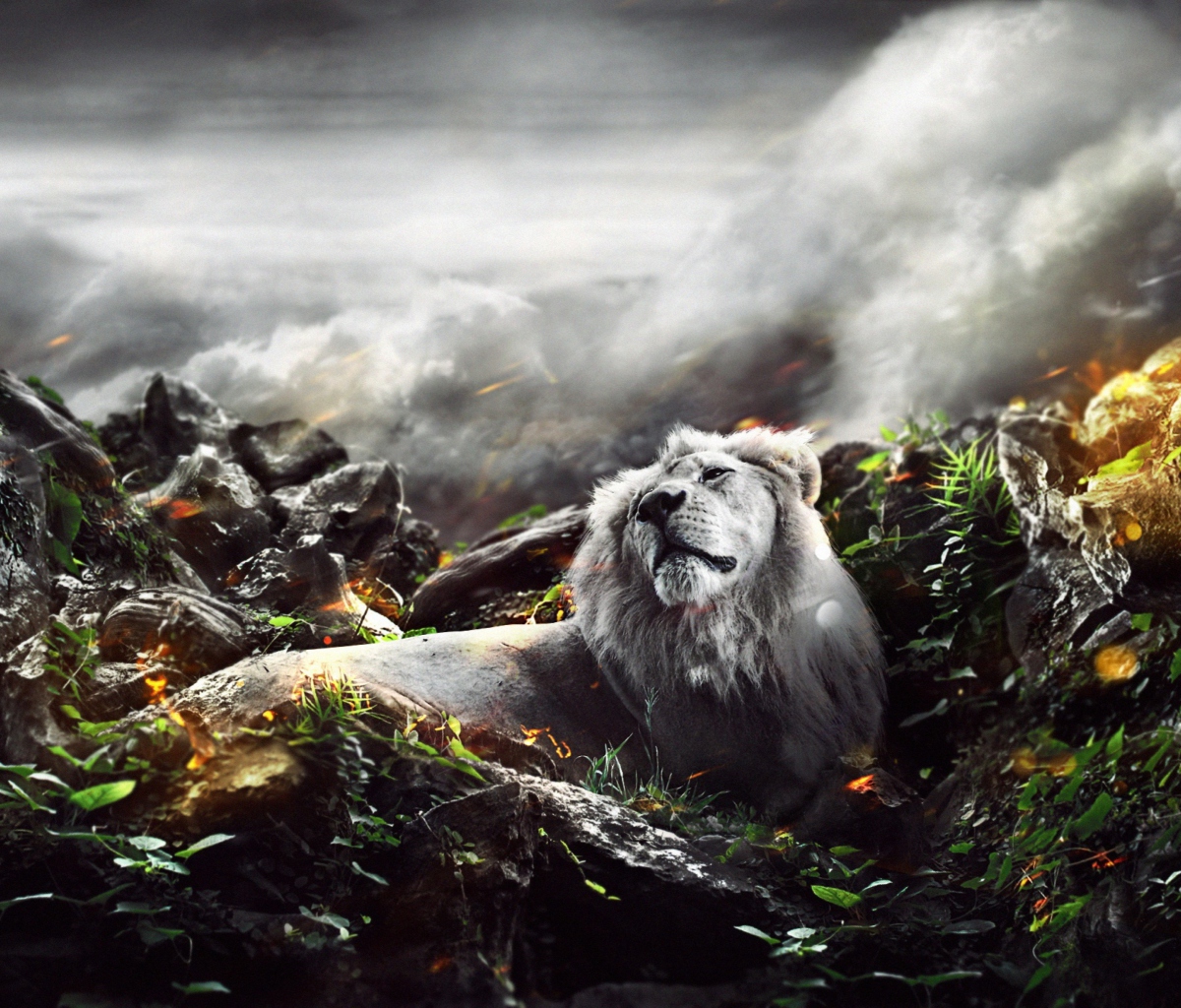 Fondo de pantalla Lion Art 1200x1024