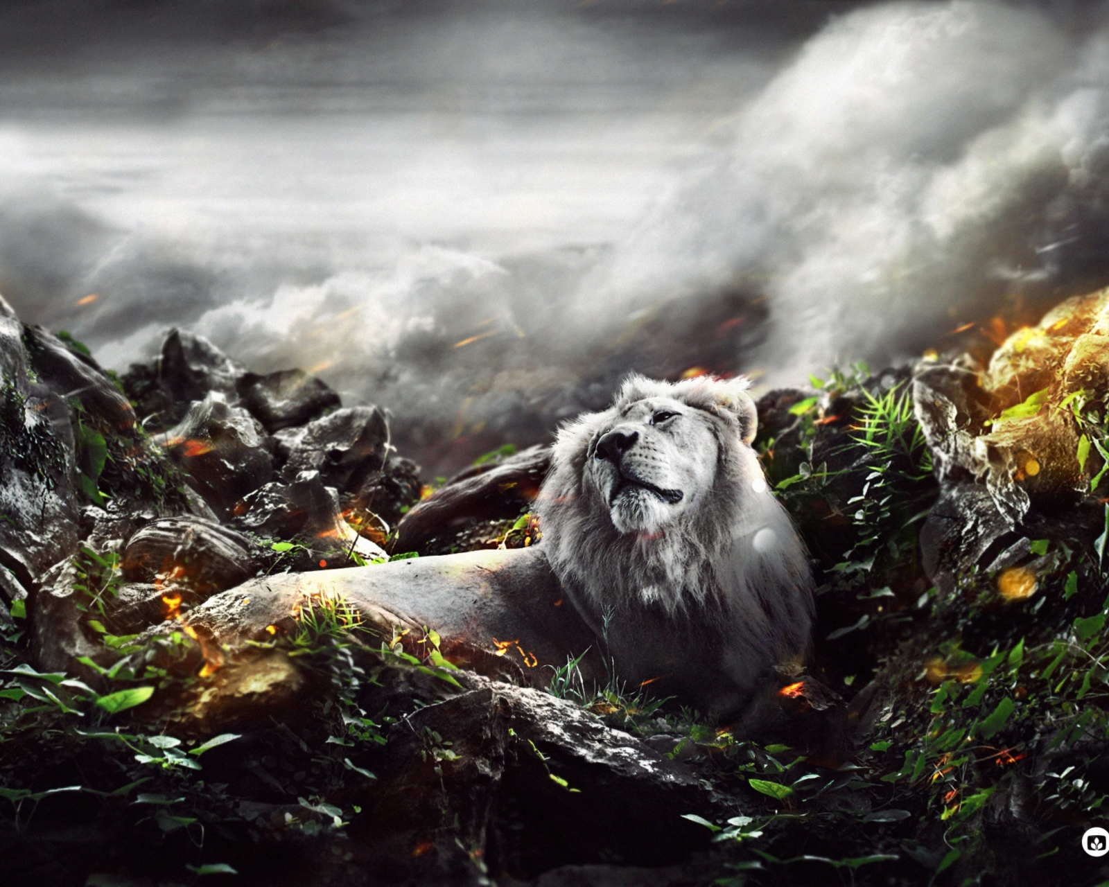 Das Lion Art Wallpaper 1600x1280