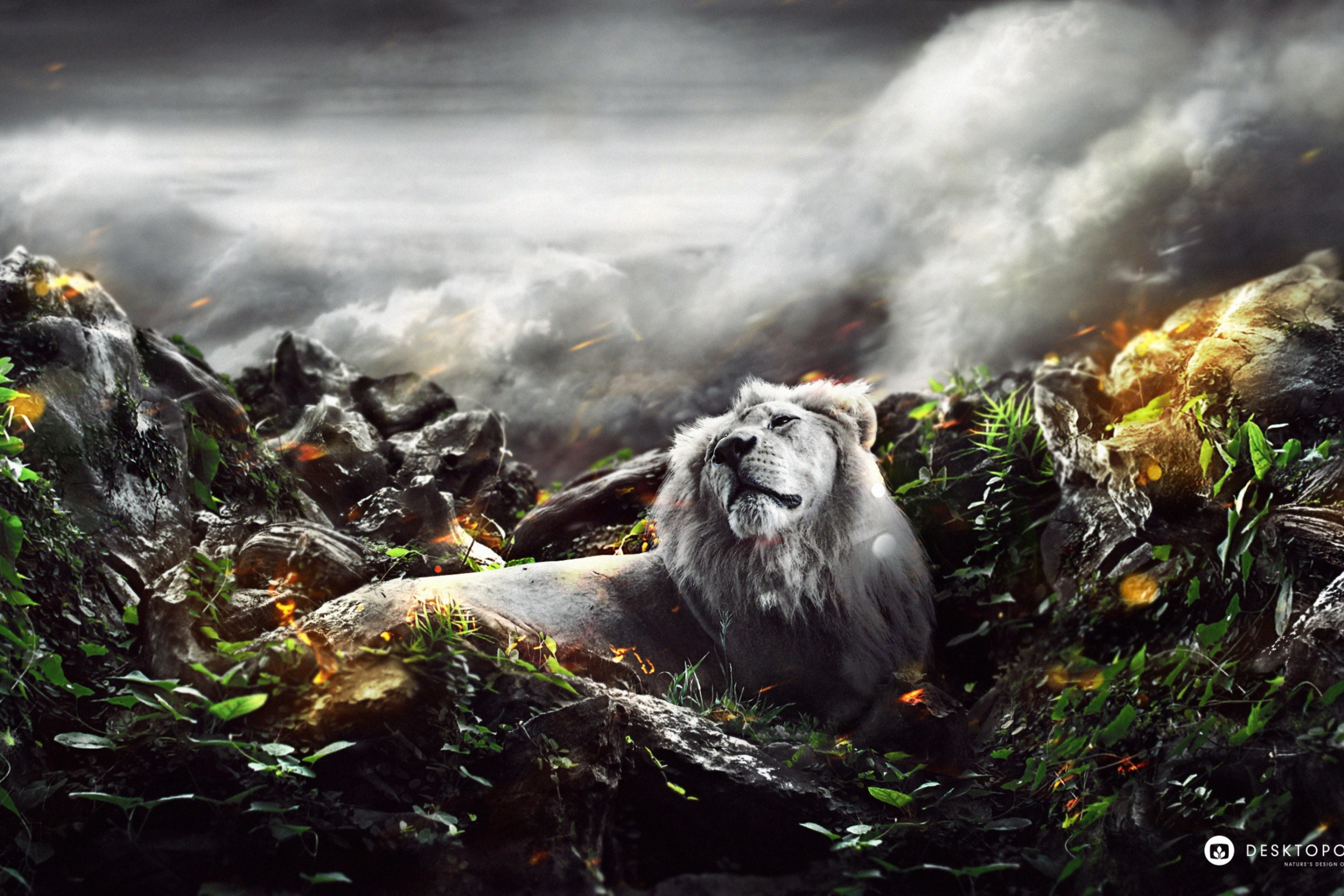 Fondo de pantalla Lion Art 2880x1920