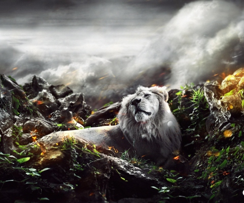 Lion Art wallpaper 480x400