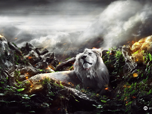 Sfondi Lion Art 640x480