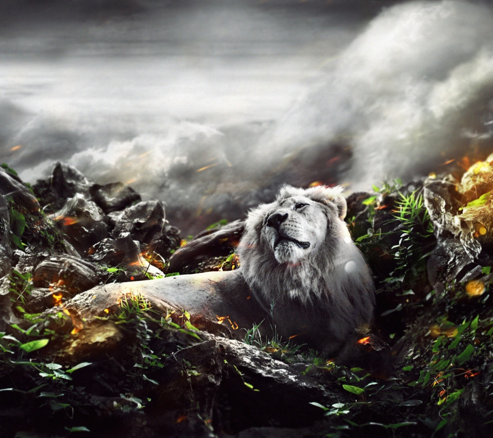 Das Lion Art Wallpaper 960x854