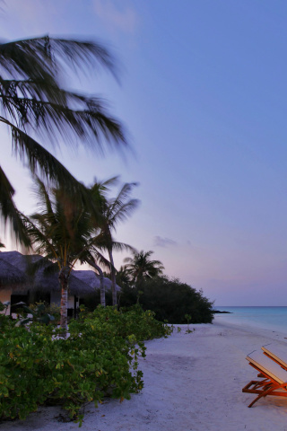 Exotic Beach Rosalie Bay, Dominica screenshot #1 320x480