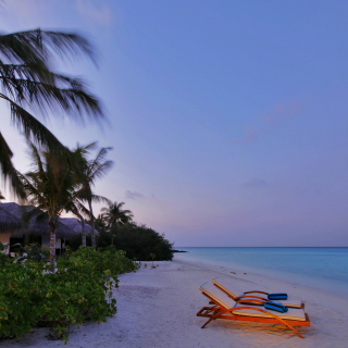Exotic Beach Rosalie Bay, Dominica - Fondos de pantalla gratis para iPad 2