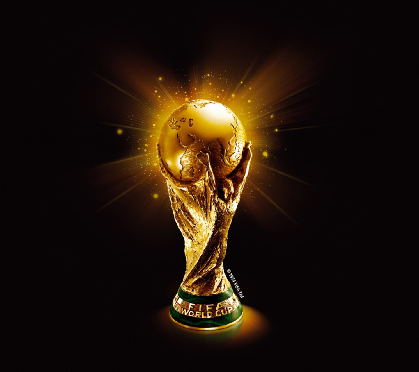 Fondo de pantalla Fifa World Cup 1440x1280