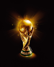 Fifa World Cup wallpaper 176x220