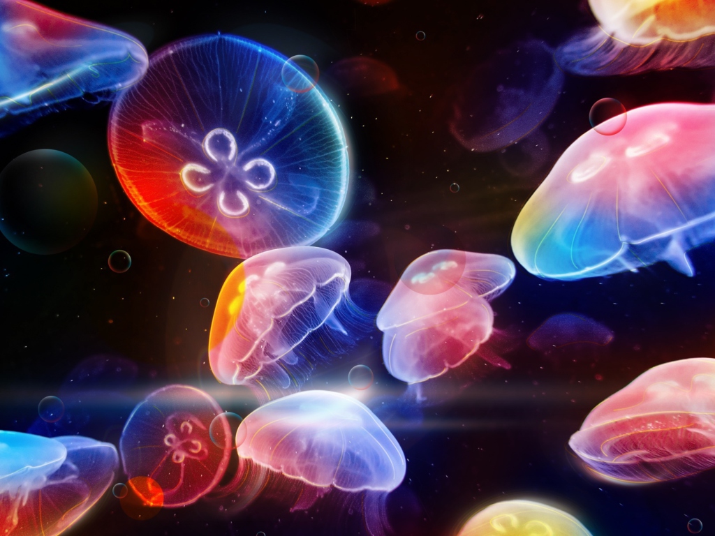 Обои Underwater Jellyfishes 1024x768