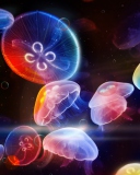 Underwater Jellyfishes wallpaper 128x160