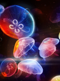 Fondo de pantalla Underwater Jellyfishes 240x320