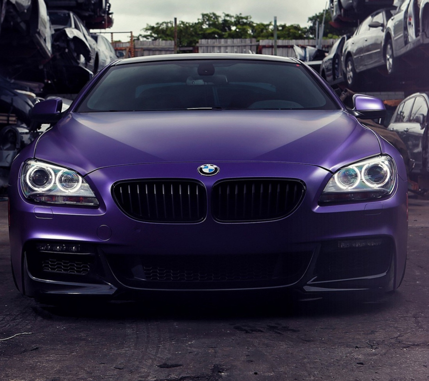 BMW M6 screenshot #1 1440x1280
