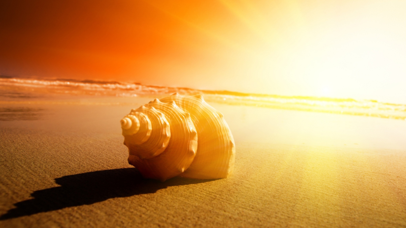 Das Shell On Beach Wallpaper 1366x768