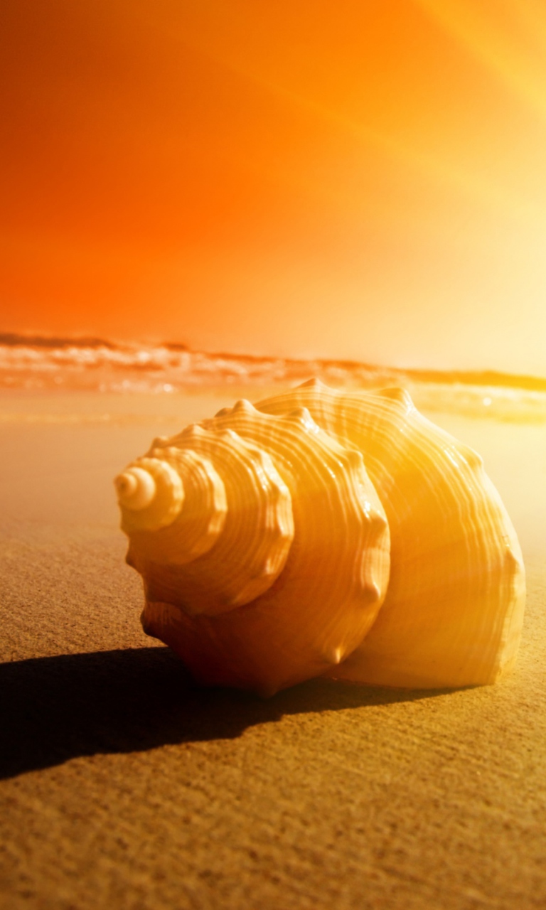 Shell On Beach screenshot #1 768x1280