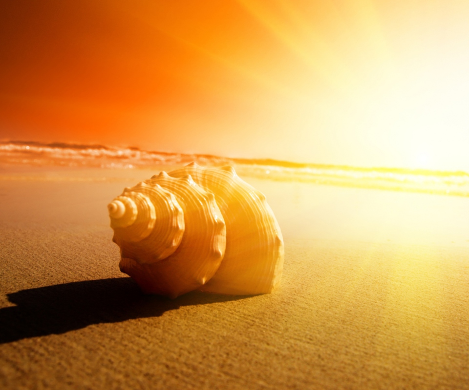 Das Shell On Beach Wallpaper 960x800