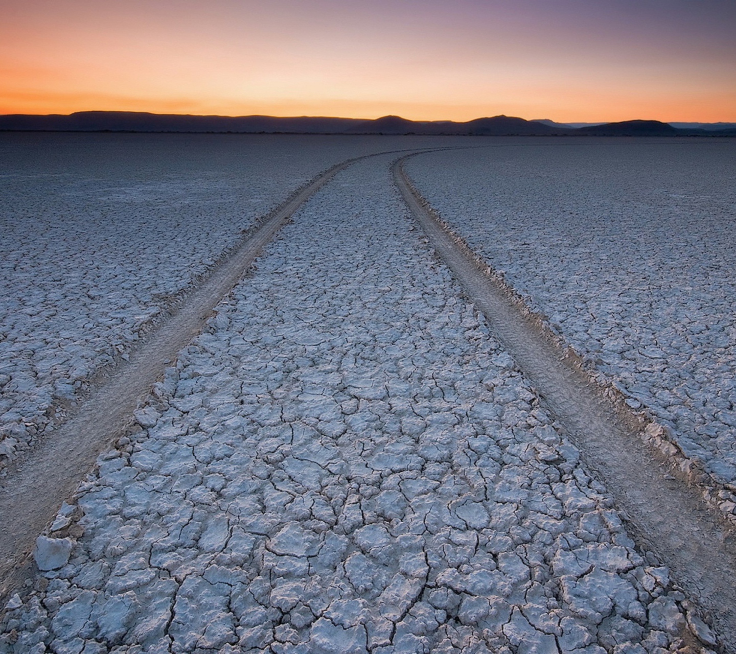 Car Trail Through Desert wallpaper 1440x1280