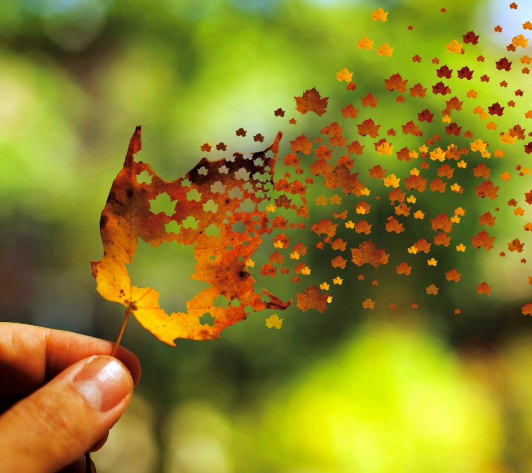 Das Autumn Love Leaf Wallpaper 1080x960