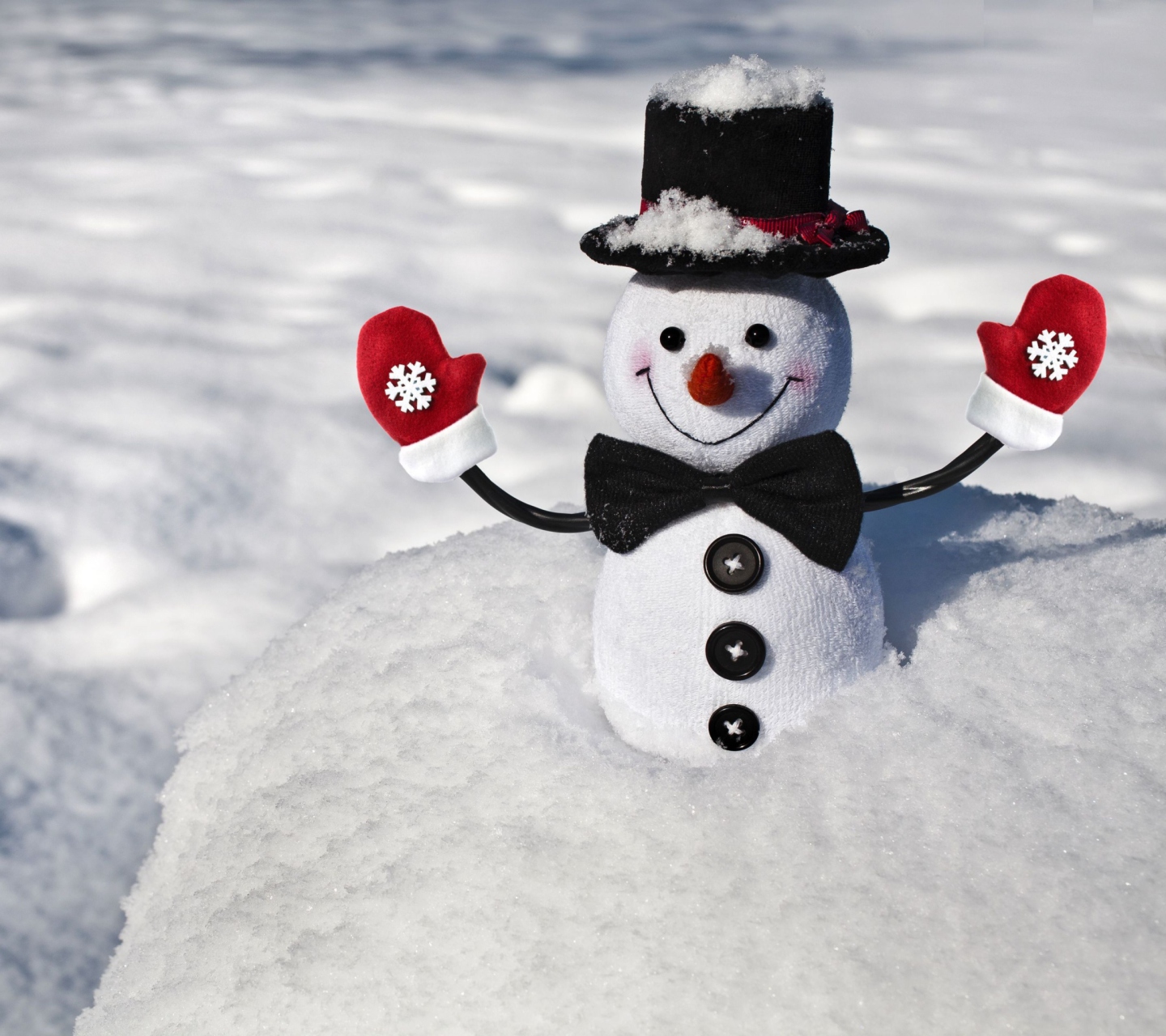 Fondo de pantalla Cute Snowman 1440x1280