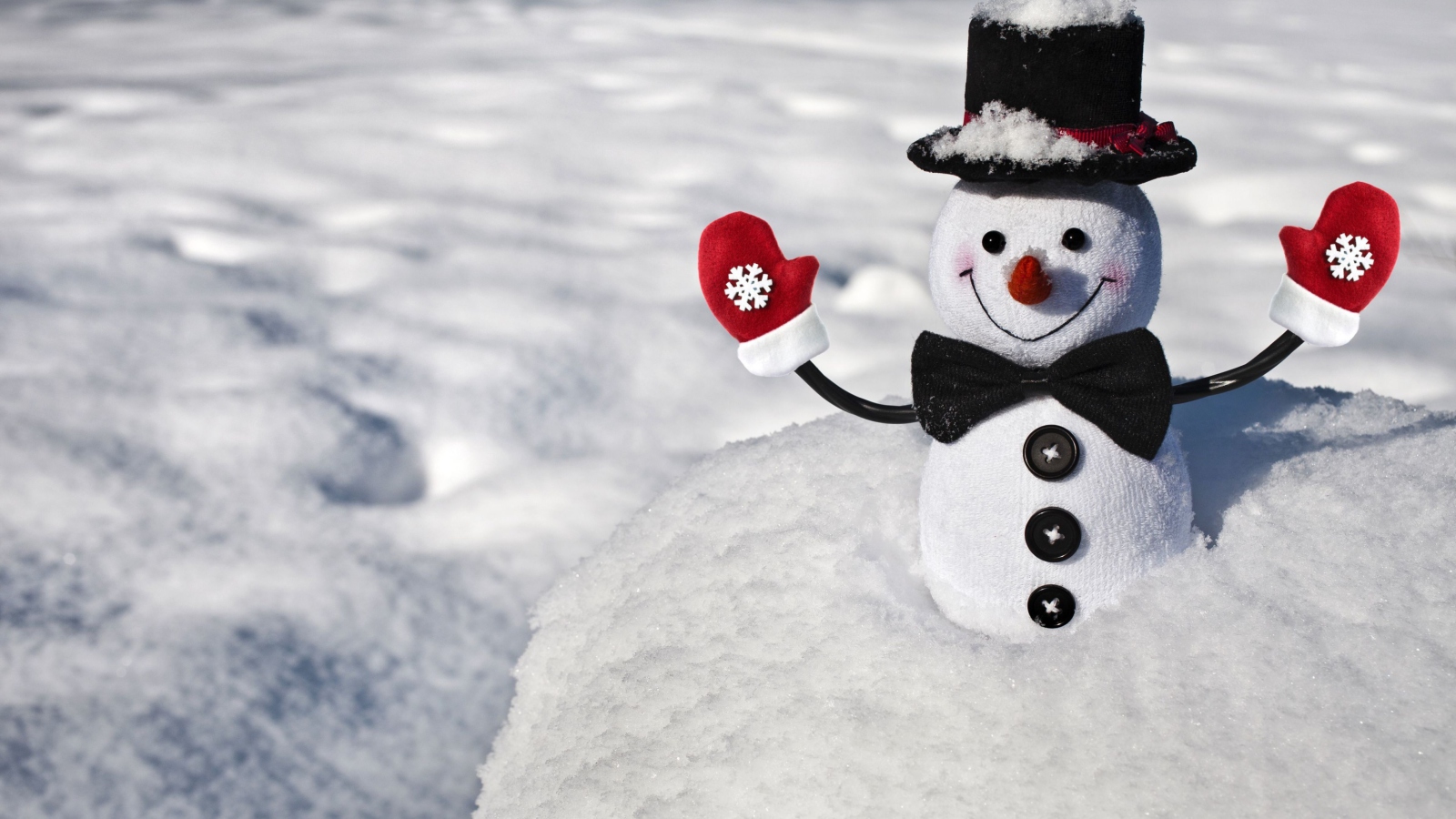 Sfondi Cute Snowman 1600x900