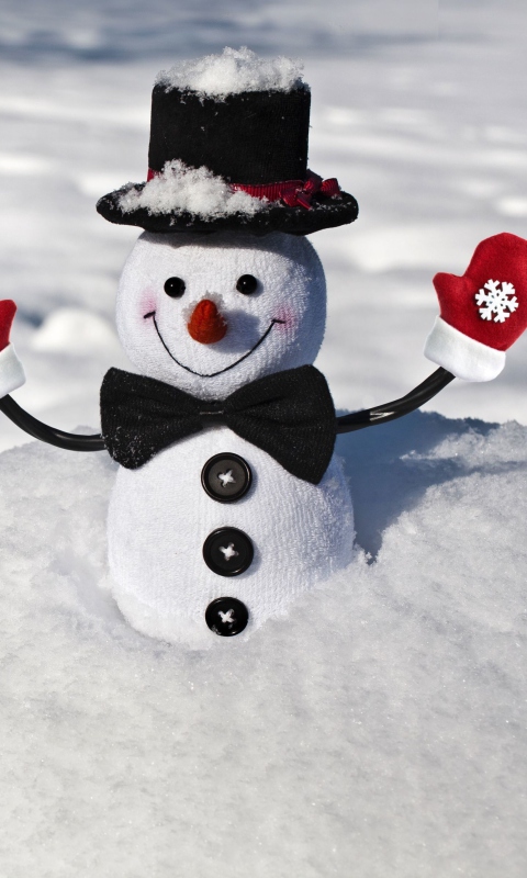 Das Cute Snowman Wallpaper 480x800