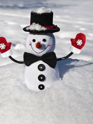 Cute Snowman Background for Samsung S8500 Wave