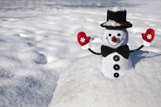 Cute Snowman Picture for Android, iPhone and iPad