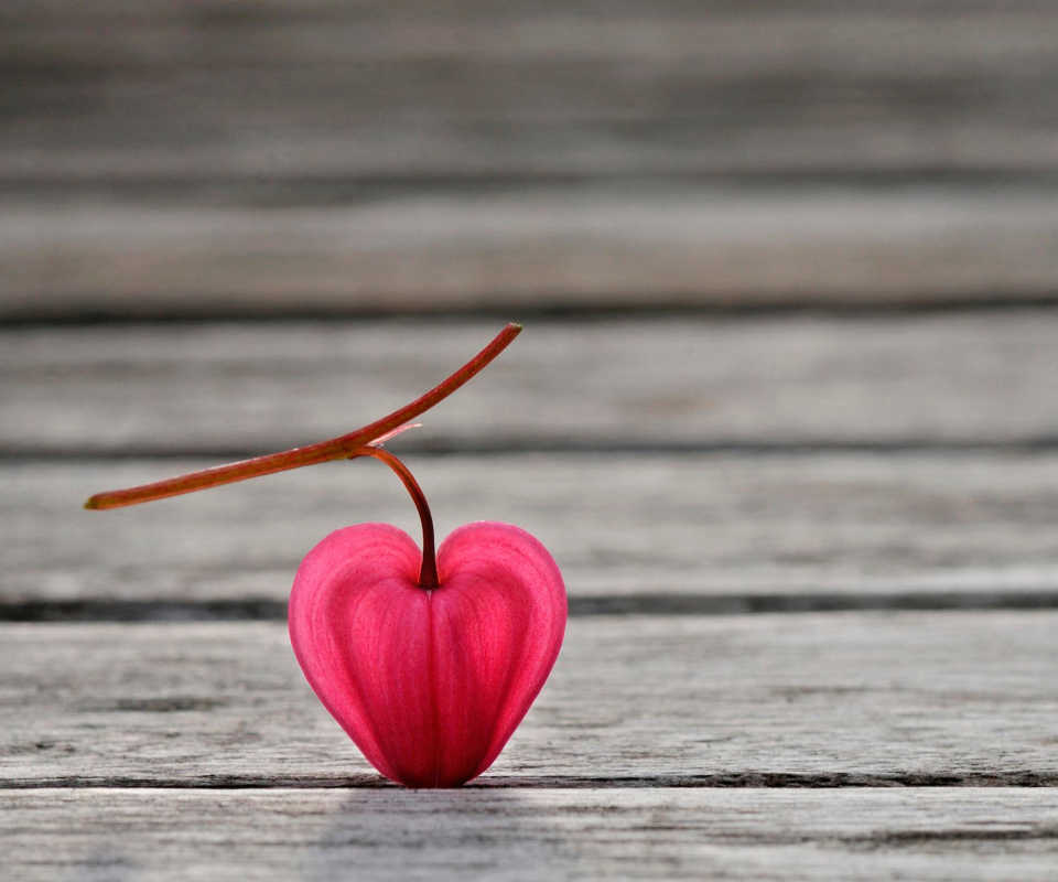 Heartshaped Petal wallpaper 960x800