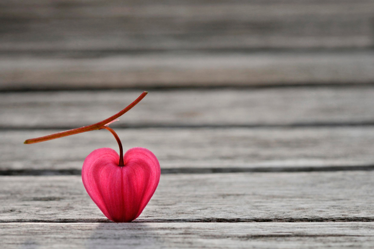 Sfondi Heartshaped Petal