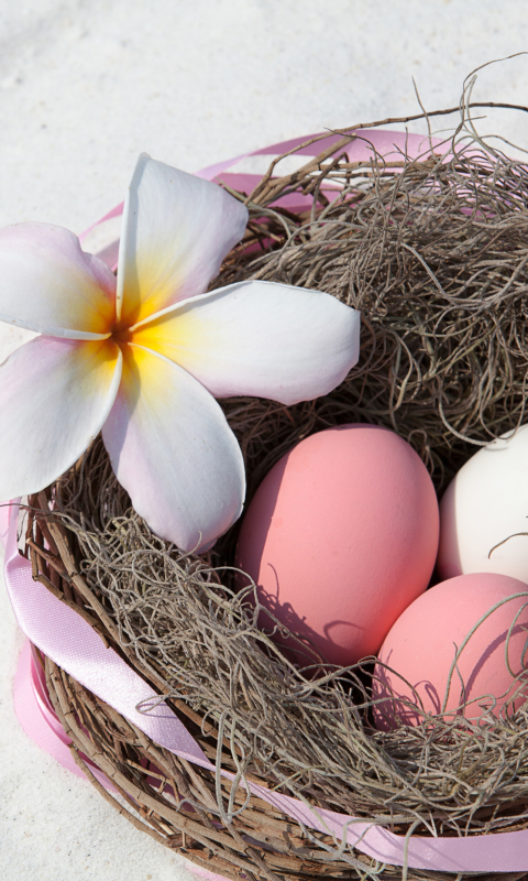 Easter Eggs wallpaper 480x800