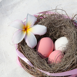 Easter Eggs sfondi gratuiti per 1024x1024