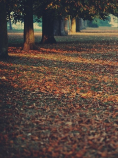 Autumn Leaves Rug screenshot #1 240x320