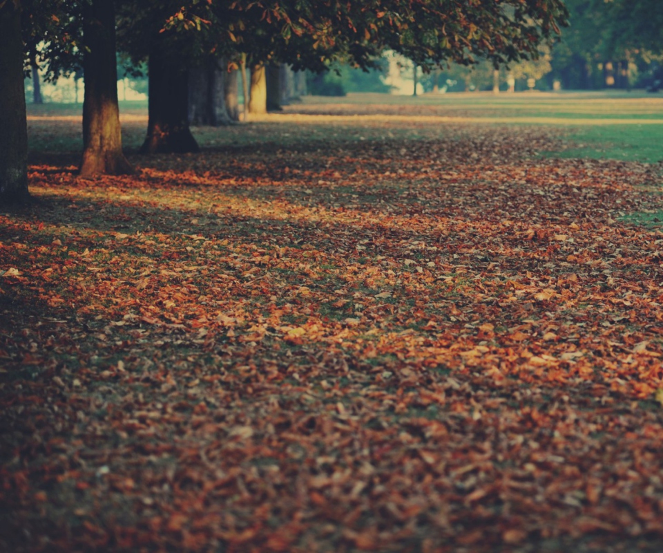 Autumn Leaves Rug wallpaper 960x800