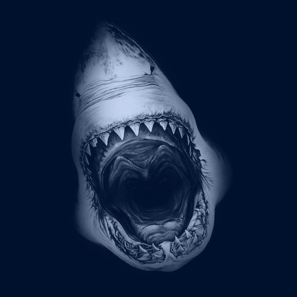 Sfondi Terrifying Mouth of Shark 1024x1024