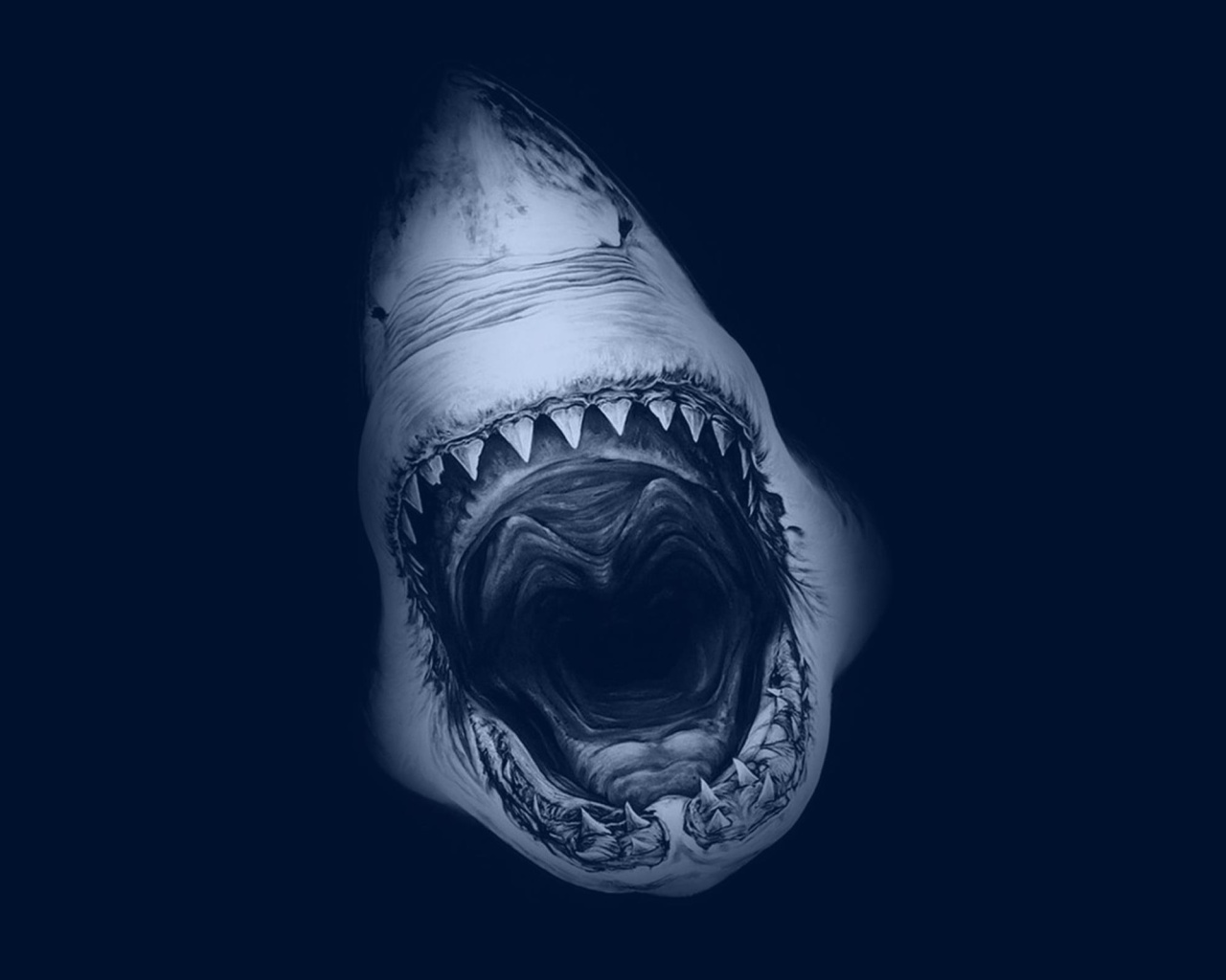 Sfondi Terrifying Mouth of Shark 1280x1024