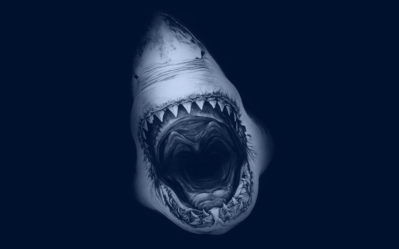Terrifying Mouth of Shark wallpaper 1280x800