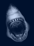 Das Terrifying Mouth of Shark Wallpaper 132x176