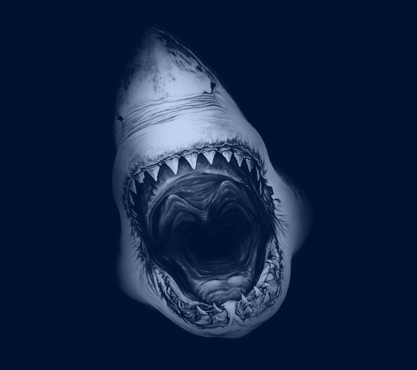 Обои Terrifying Mouth of Shark 1440x1280