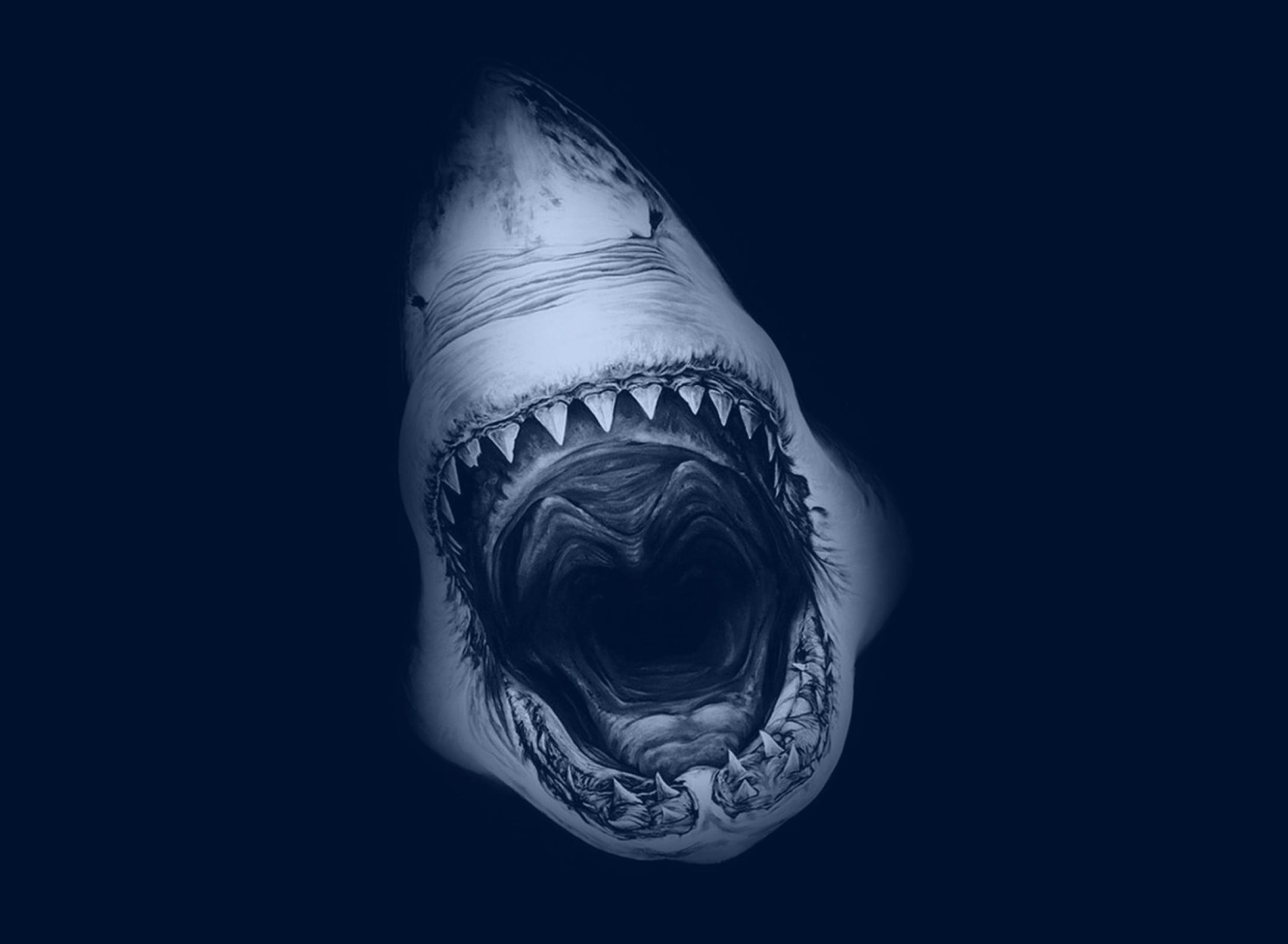 Обои Terrifying Mouth of Shark 1920x1408