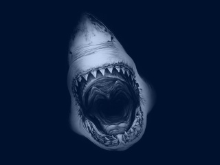 Das Terrifying Mouth of Shark Wallpaper 320x240