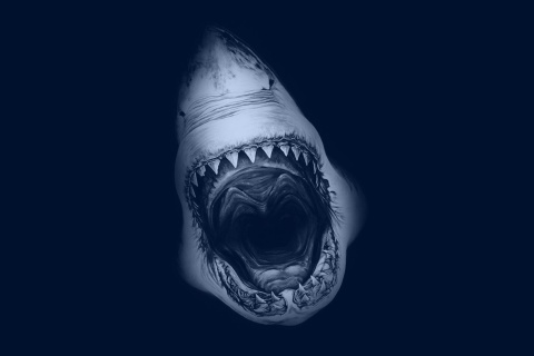 Fondo de pantalla Terrifying Mouth of Shark 480x320