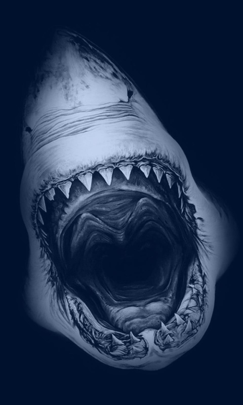Das Terrifying Mouth of Shark Wallpaper 480x800