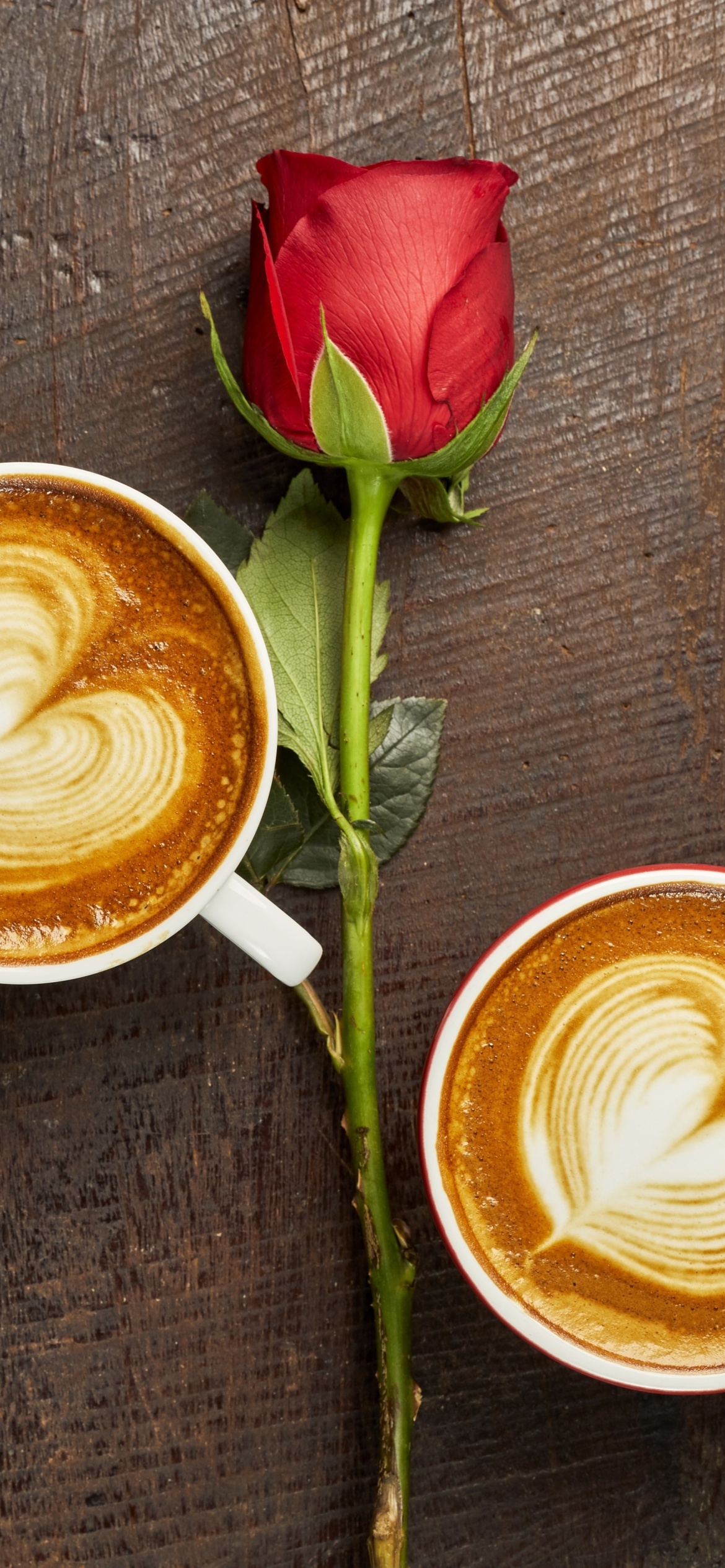 Romantic Coffee and Rose wallpaper 1170x2532
